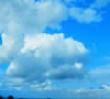 天上的云 的头像