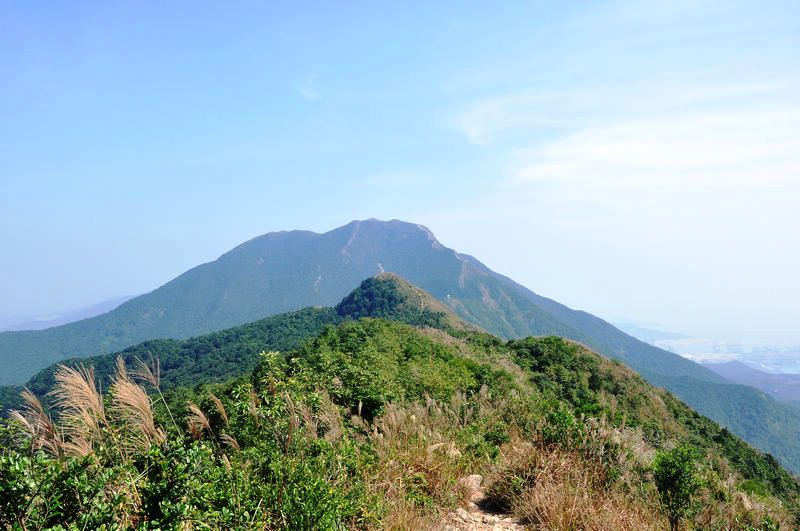 9号梧桐山顶露营过大年(i因本人感冒加重,此次活动取消) [活动]