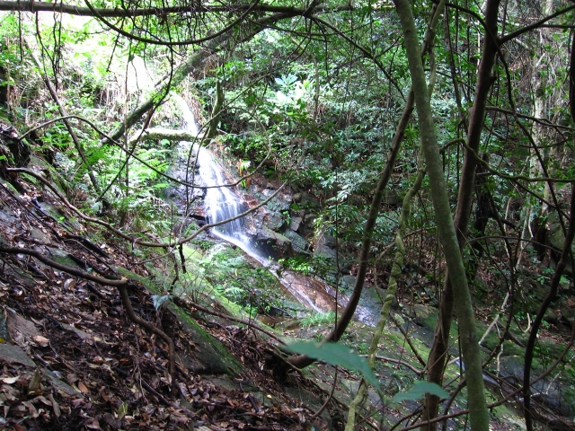 重陽徒步羅浮山之撥雲寺-四方山(一個人的作業)