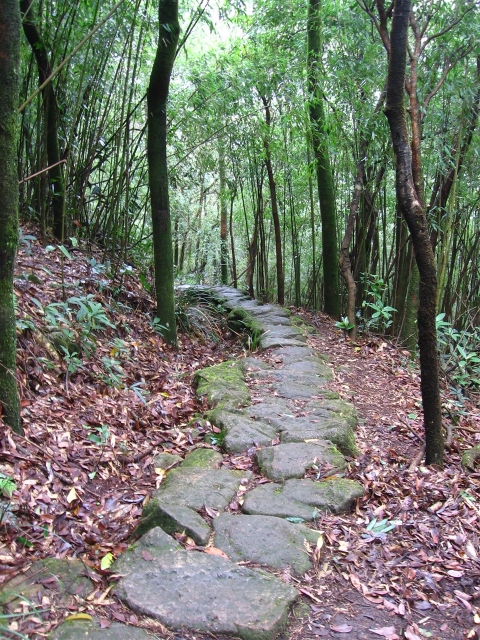 重阳徒步罗浮山之拨云寺-四方山(一个人的作业)