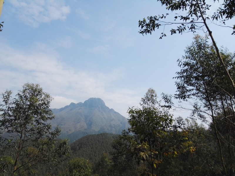 在这里我们望见了远远的大圣山.