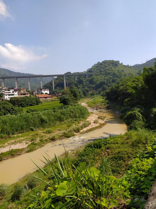 看桃溪长大-沿永春桃溪南岸骑行小记