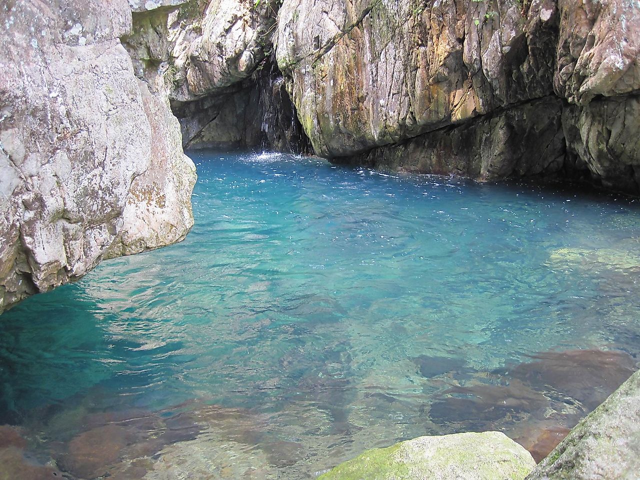 20100501_141226_canon_d10.jpg