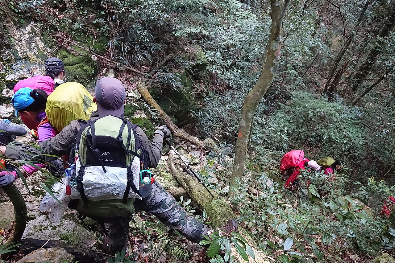 20190406_085814_sony_dscrx0.JPG